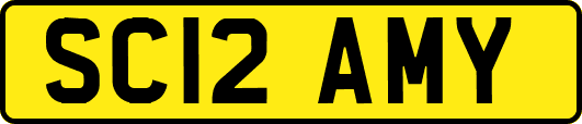 SC12AMY