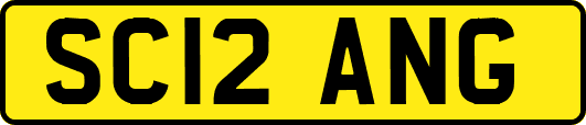 SC12ANG
