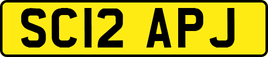 SC12APJ