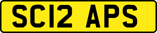 SC12APS