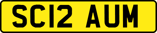 SC12AUM