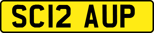 SC12AUP