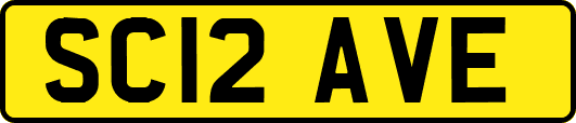 SC12AVE