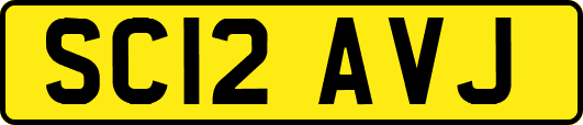 SC12AVJ