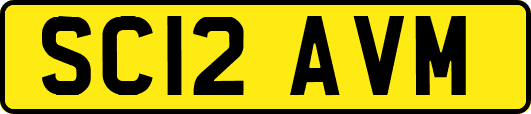 SC12AVM