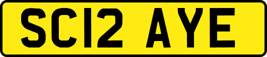 SC12AYE