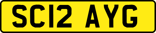 SC12AYG