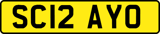 SC12AYO