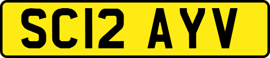 SC12AYV