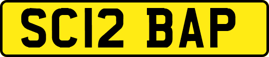 SC12BAP