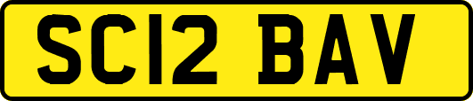SC12BAV
