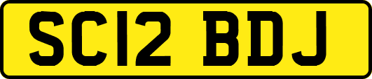 SC12BDJ