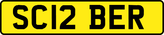 SC12BER