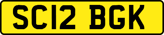 SC12BGK