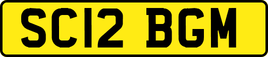 SC12BGM