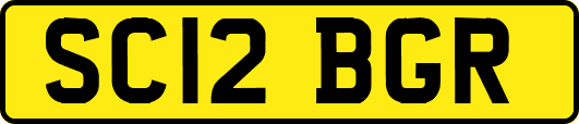 SC12BGR