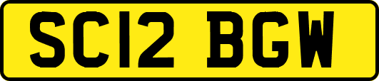 SC12BGW