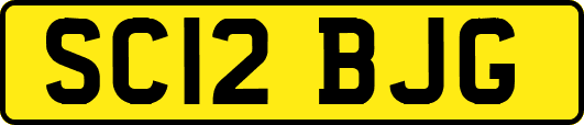 SC12BJG