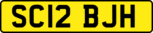 SC12BJH