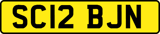 SC12BJN