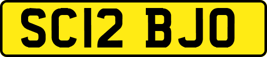SC12BJO