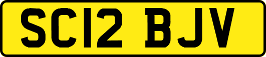SC12BJV