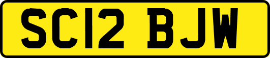 SC12BJW