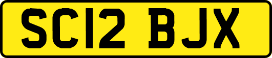 SC12BJX