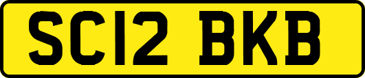 SC12BKB
