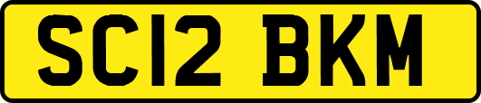 SC12BKM