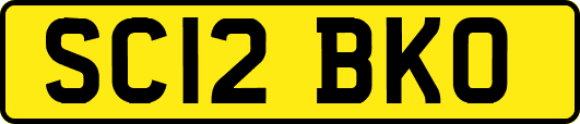 SC12BKO