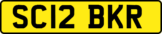 SC12BKR