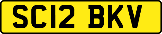 SC12BKV