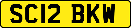 SC12BKW