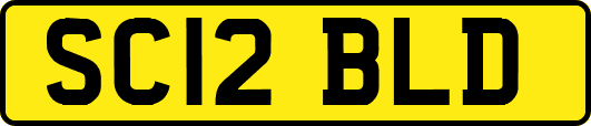 SC12BLD