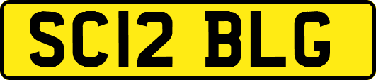 SC12BLG