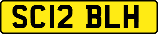 SC12BLH