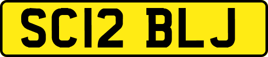 SC12BLJ