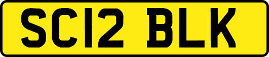 SC12BLK