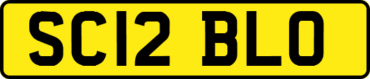 SC12BLO