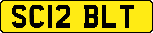 SC12BLT