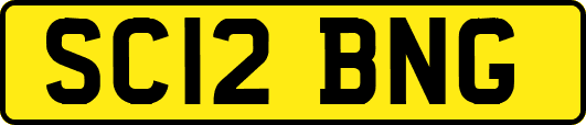 SC12BNG