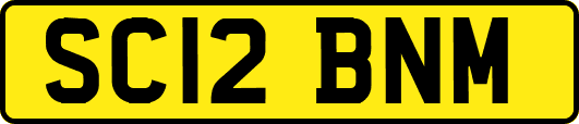 SC12BNM