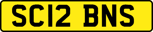 SC12BNS