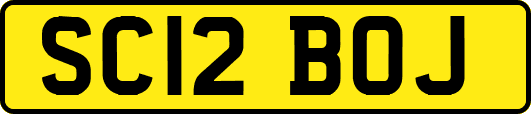 SC12BOJ