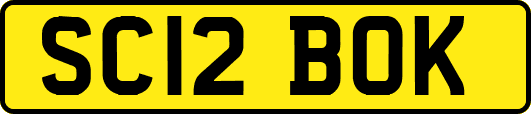 SC12BOK