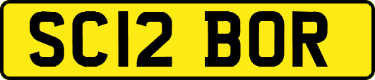 SC12BOR