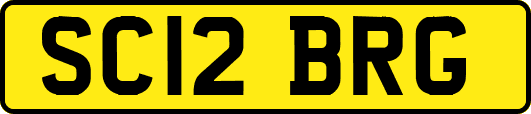 SC12BRG