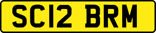 SC12BRM