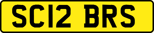 SC12BRS